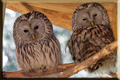 Naturparks